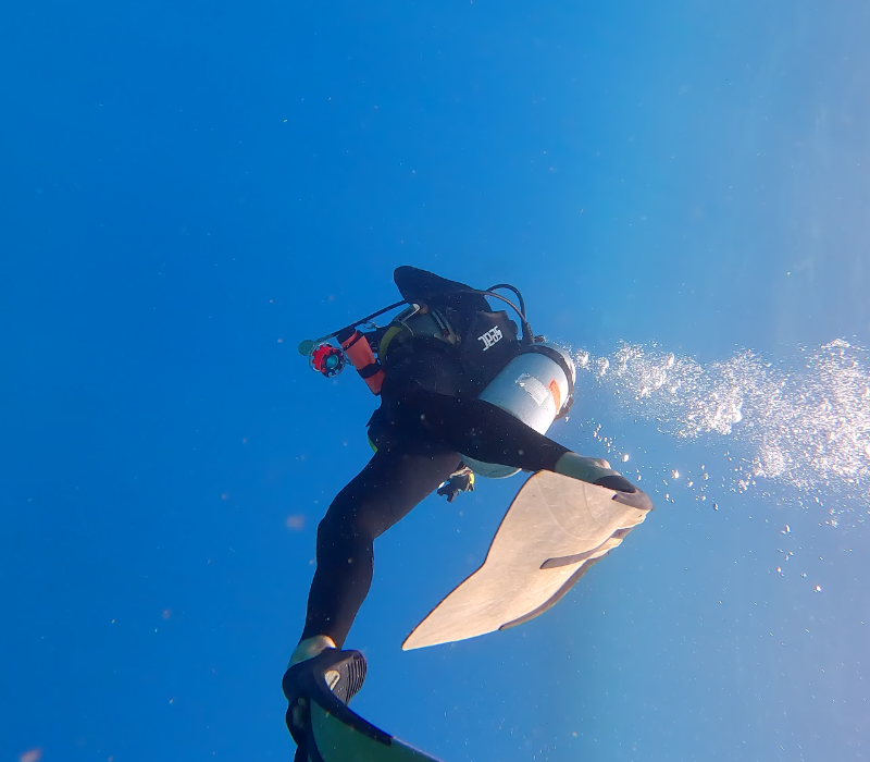 Low-angle underwater view of a scuba diver swimming through clear blue ocean water